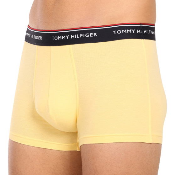 3PACK Vyriški boksininko šortai Tommy Hilfiger daugiaspalviai (1U87903842 0ID)