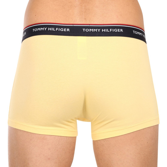 3PACK Vyriški boksininko šortai Tommy Hilfiger daugiaspalviai (1U87903842 0ID)