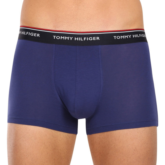 3PACK Vyriški boksininko šortai Tommy Hilfiger daugiaspalviai (1U87903842 0Y0)