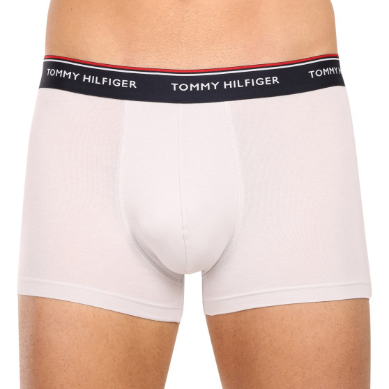 3PACK Vyriški boksininko šortai Tommy Hilfiger daugiaspalviai (1U87903842 0Y0)