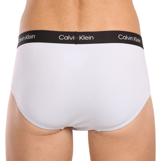 7PACK Vyriškos kelnaitės Calvin Klein multicolour (NB3581A-IUI)