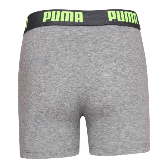 2PACK berniukų boksininkų šortai Puma daugiaspalviai (701219334 005)