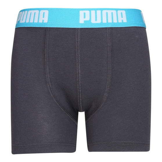 2PACK berniukų boksininkų šortai Puma daugiaspalviai (701219336 376)