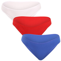 3PACK Moteriškos kelnaitės Nedeto multicolour (3NK005)