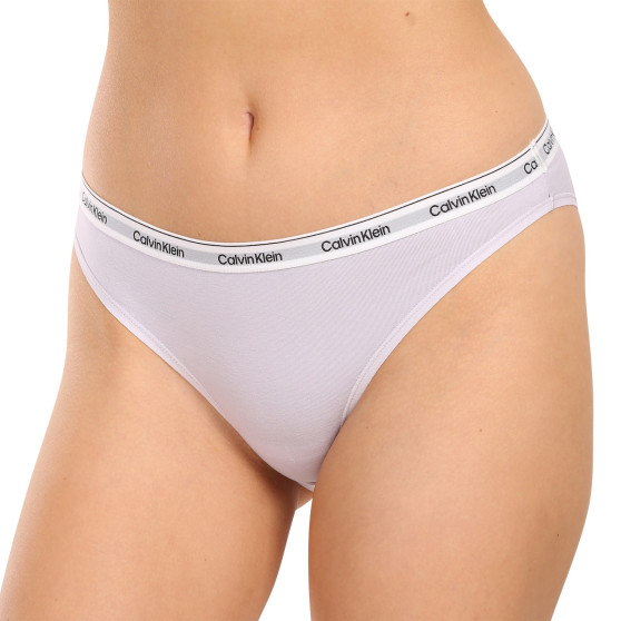 3PACK Moteriškos kelnaitės Calvin Klein multicolour (QD5207E-NPA)