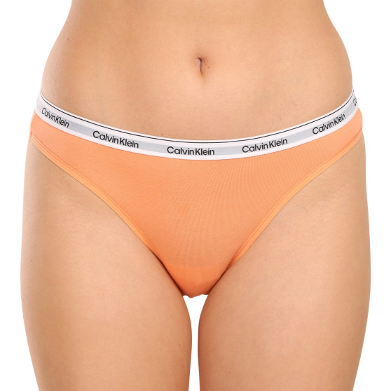 3PACK Moteriškos kelnaitės Calvin Klein multicolour (QD5207E-NPA)