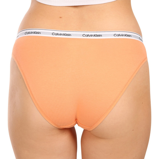 3PACK Moteriškos kelnaitės Calvin Klein multicolour (QD5207E-NPA)