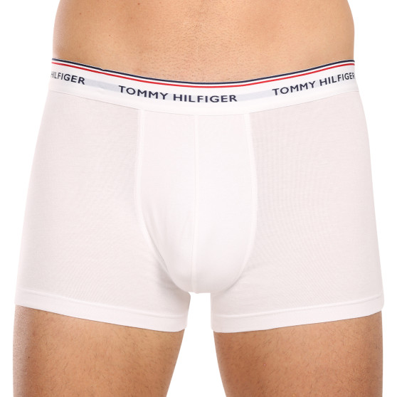 3PACK Vyriški boksininko šortai Tommy Hilfiger daugiaspalviai (1U87903842 611)