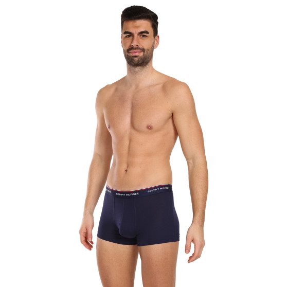 3PACK Vyriški boksininko šortai Tommy Hilfiger daugiaspalviai (1U87903842 611)