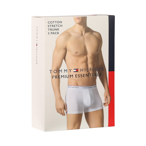 3PACK Vyriški boksininko šortai Tommy Hilfiger daugiaspalviai (1U87903842 611)