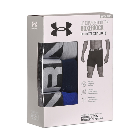 3PACK Vyriški boksininko šortai Under Armour daugiaspalviai (1363617 400)