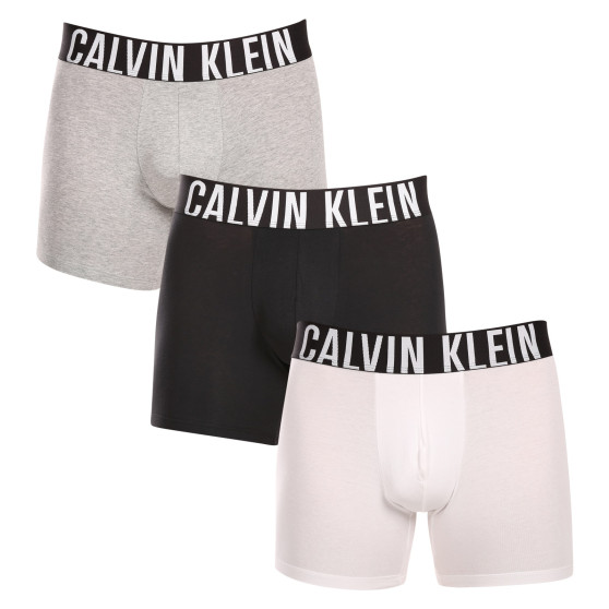 3PACK Vyriški boksininko šortai Calvin Klein daugiaspalviai (NB3609A-MP1)