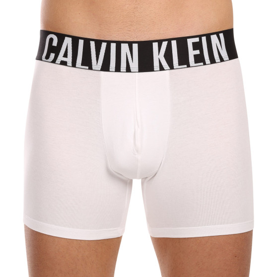 3PACK Vyriški boksininko šortai Calvin Klein daugiaspalviai (NB3609A-MP1)