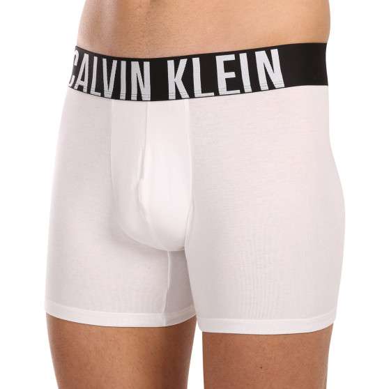 3PACK Vyriški boksininko šortai Calvin Klein daugiaspalviai (NB3609A-MP1)