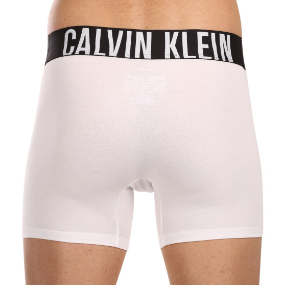 3PACK Vyriški boksininko šortai Calvin Klein daugiaspalviai (NB3609A-MP1)