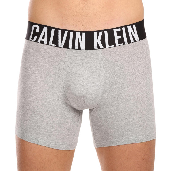 3PACK Vyriški boksininko šortai Calvin Klein daugiaspalviai (NB3609A-MP1)