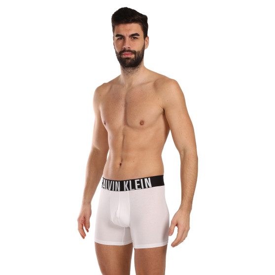 3PACK Vyriški boksininko šortai Calvin Klein daugiaspalviai (NB3609A-MP1)