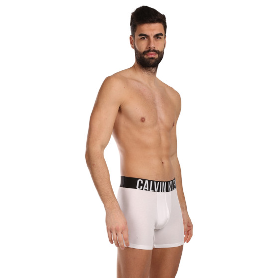 3PACK Vyriški boksininko šortai Calvin Klein daugiaspalviai (NB3609A-MP1)