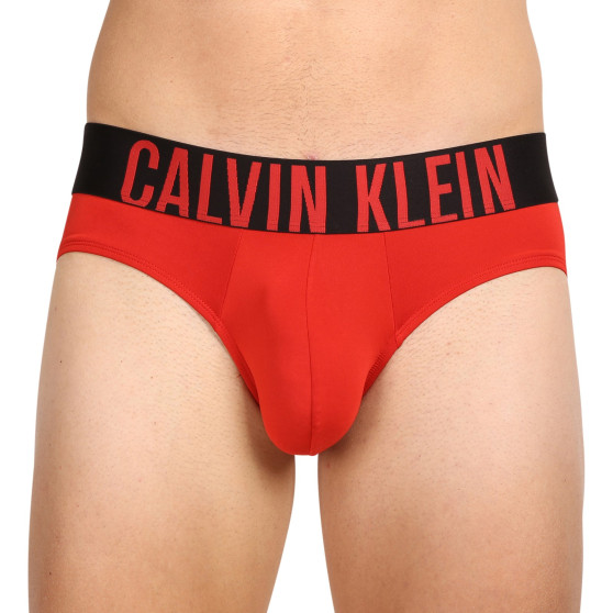 3PACK Vyriškos kelnaitės Calvin Klein multicolour (NB3610A-LXO)