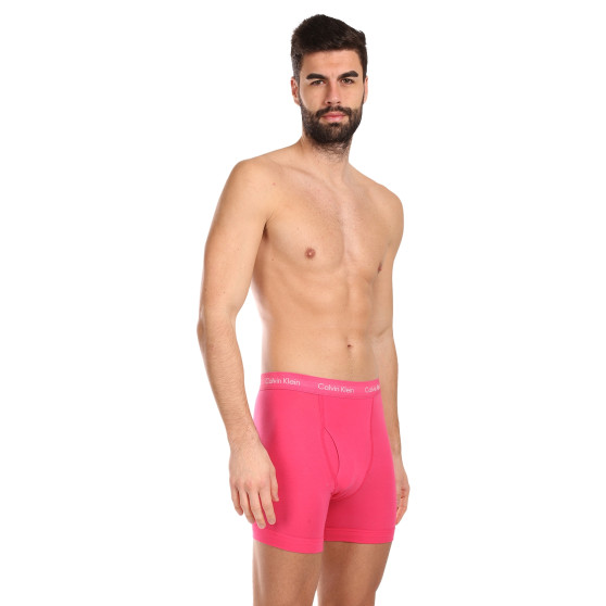 3PACK Vyriški boksininko šortai Calvin Klein daugiaspalviai (NB2616A-NLT)