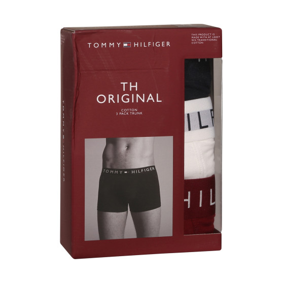 3PACK Vyriški boksininko šortai Tommy Hilfiger daugiaspalviai (UM0UM03181 0SZ)