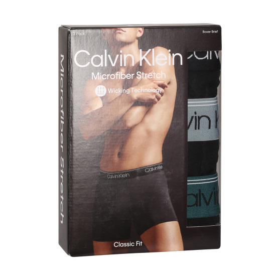 3PACK Vyriški boksininko šortai Calvin Klein juodi (NB2570A-N2L)