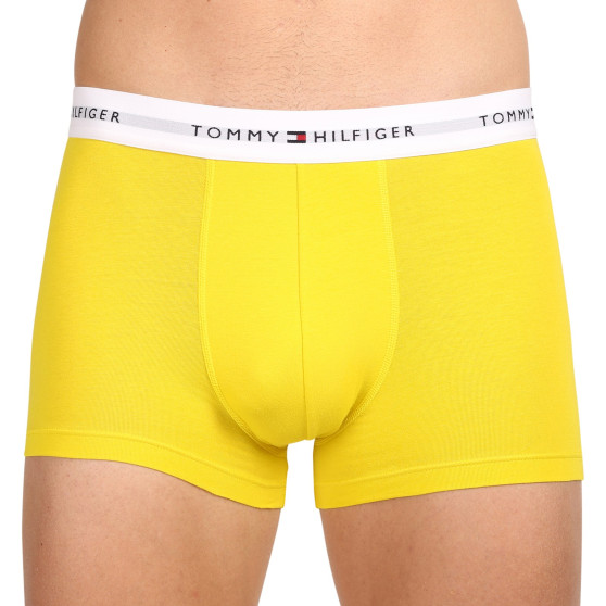 3PACK Vyriški boksininko šortai Tommy Hilfiger daugiaspalviai (UM0UM02761 0XN)