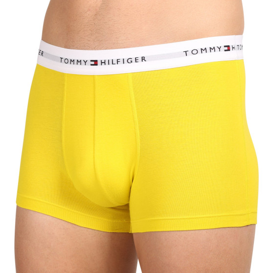 3PACK Vyriški boksininko šortai Tommy Hilfiger daugiaspalviai (UM0UM02761 0XN)