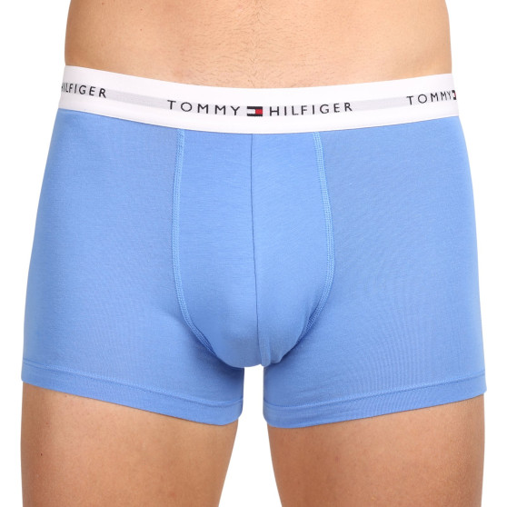 3PACK Vyriški boksininko šortai Tommy Hilfiger daugiaspalviai (UM0UM02761 0XN)