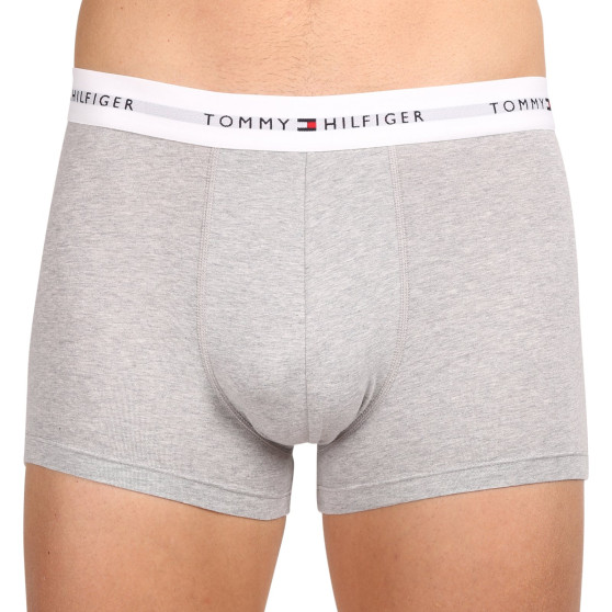 3PACK Vyriški boksininko šortai Tommy Hilfiger daugiaspalviai (UM0UM02761 0YV)