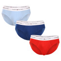 3PACK Vyriškos kelnaitės Tommy Hilfiger multicolour (UM0UM02764 0XZ)