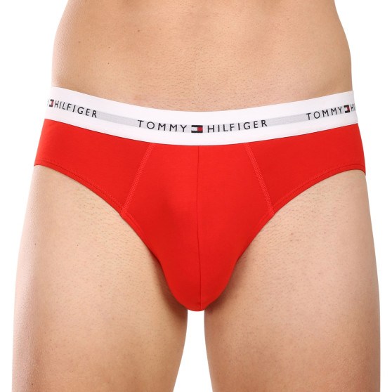 3PACK Vyriškos kelnaitės Tommy Hilfiger multicolour (UM0UM02764 0XZ)