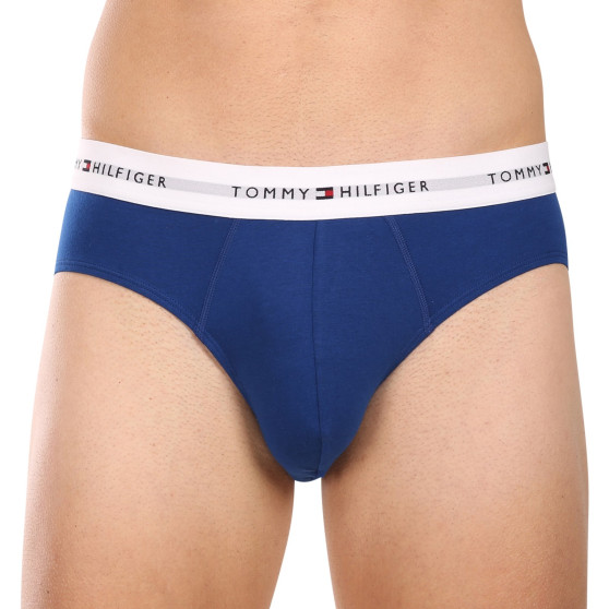 3PACK Vyriškos kelnaitės Tommy Hilfiger multicolour (UM0UM02764 0XZ)