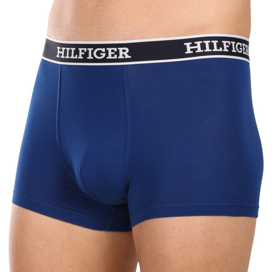 3PACK Vyriški boksininko šortai Tommy Hilfiger daugiaspalviai (UM0UM03185 0SX)