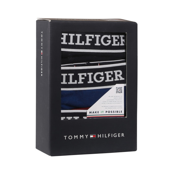 3PACK Vyriški boksininko šortai Tommy Hilfiger daugiaspalviai (UM0UM03185 0SX)