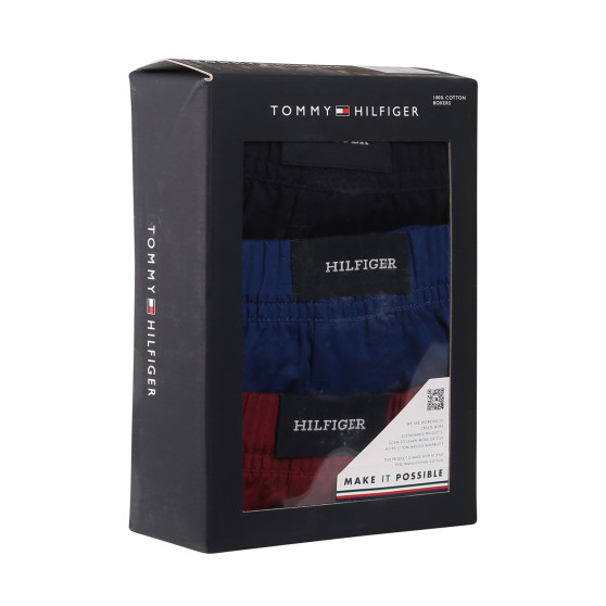 3PACK Vyriški šortai Tommy Hilfiger multicolour (UM0UM03187 0SX)