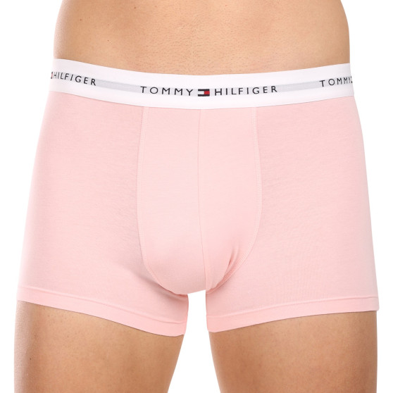 3PACK Vyriški boksininko šortai Tommy Hilfiger daugiaspalviai (UM0UM02761 0XP)