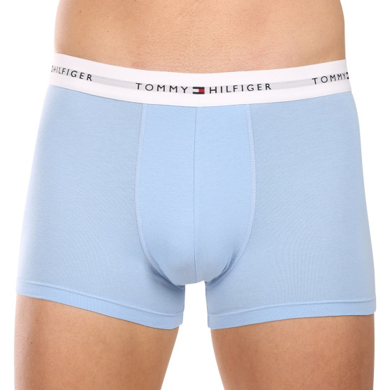 3PACK Vyriški boksininko šortai Tommy Hilfiger daugiaspalviai (UM0UM02761 0XP)