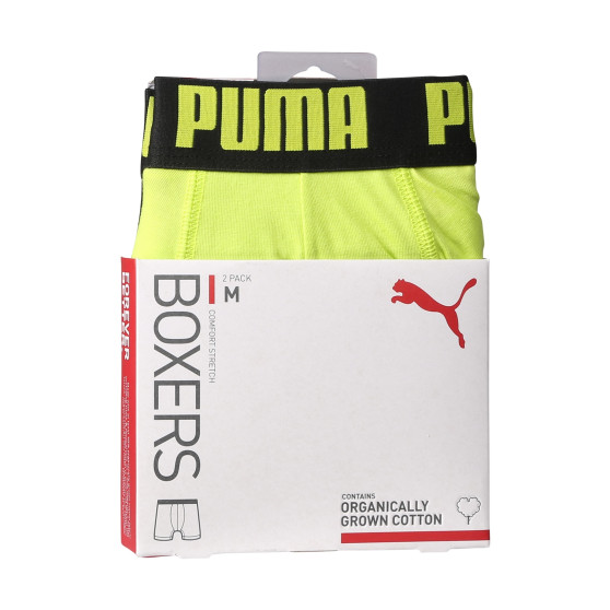 2PACK Vyriški boksininko šortai Puma daugiaspalviai (701226387 016)