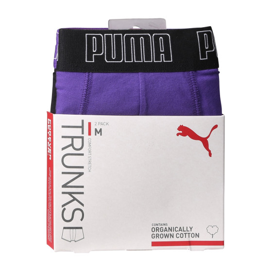 2PACK Vyriški boksininko šortai Puma daugiaspalviai (701226388 013)