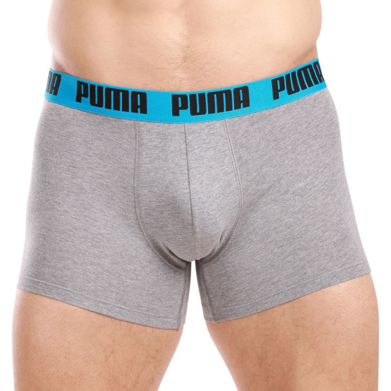 2PACK Vyriški boksininko šortai Puma daugiaspalviai (701226387 019)