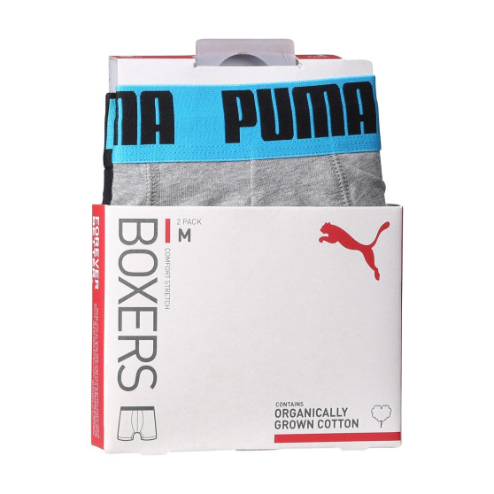 2PACK Vyriški boksininko šortai Puma daugiaspalviai (701226387 019)