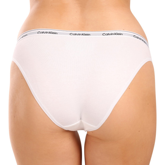 3PACK Moteriškos kelnaitės Calvin Klein multicolour (QD5207E-NP4)