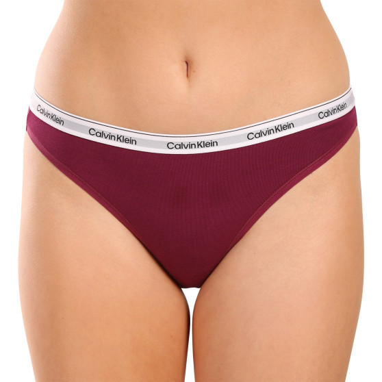 3PACK Moteriškos kelnaitės Calvin Klein multicolour (QD5207E-NP6)