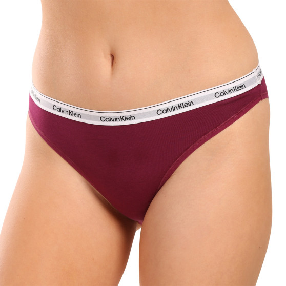 3PACK Moteriškos kelnaitės Calvin Klein multicolour (QD5207E-NP6)