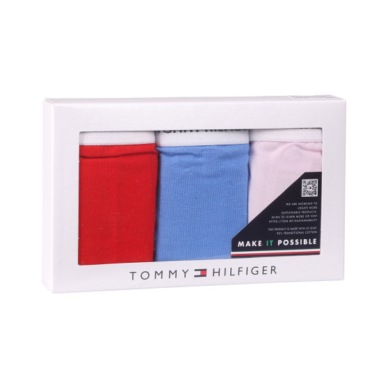 3PACK Moteriškos kelnaitės Tommy Hilfiger multicolour (UW0UW04895 0WR)