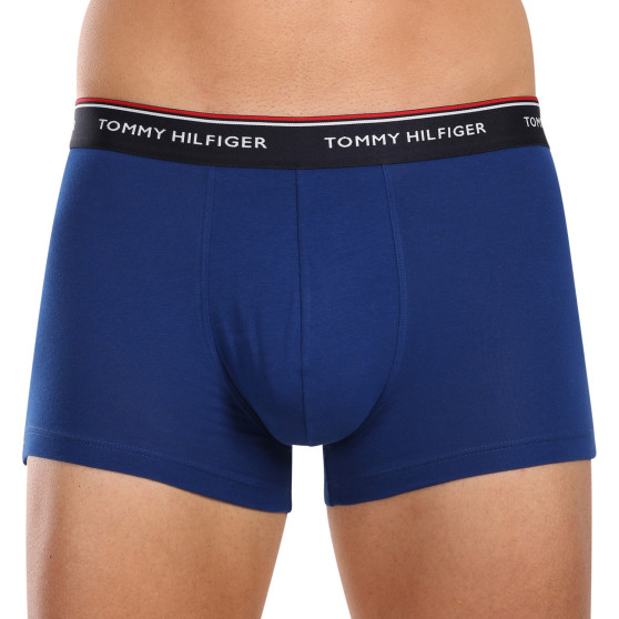 3PACK Vyriški boksininko šortai Tommy Hilfiger daugiaspalviai (1U87903842 0SS)