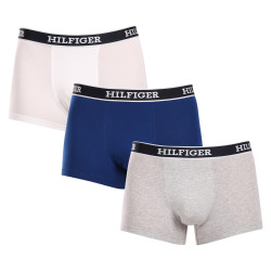 3PACK Vyriški boksininko šortai Tommy Hilfiger daugiaspalviai (UM0UM03185 0YZ)