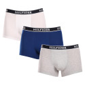 3PACK Vyriški boksininko šortai Tommy Hilfiger daugiaspalviai (UM0UM03185 0YZ)