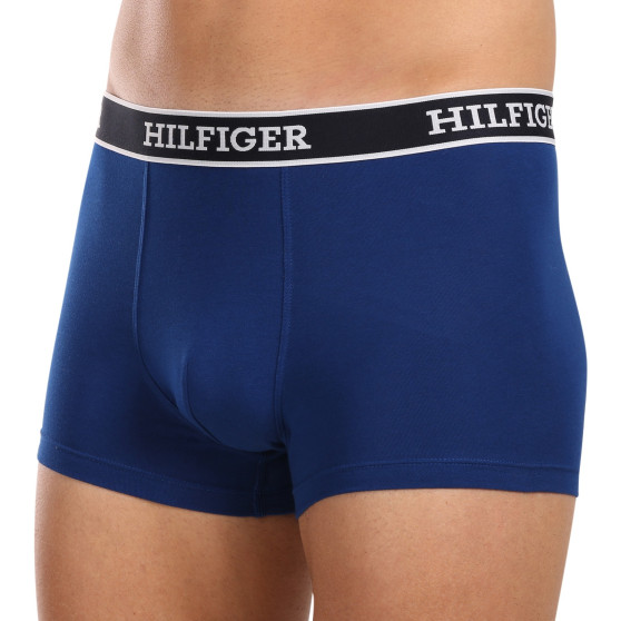 3PACK Vyriški boksininko šortai Tommy Hilfiger daugiaspalviai (UM0UM03185 0YZ)